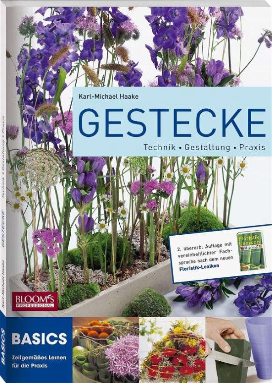 Cover for Haake · Gestecke: Technik Gestaltung Praxis: Theorie Gesta (Buch) (2023)
