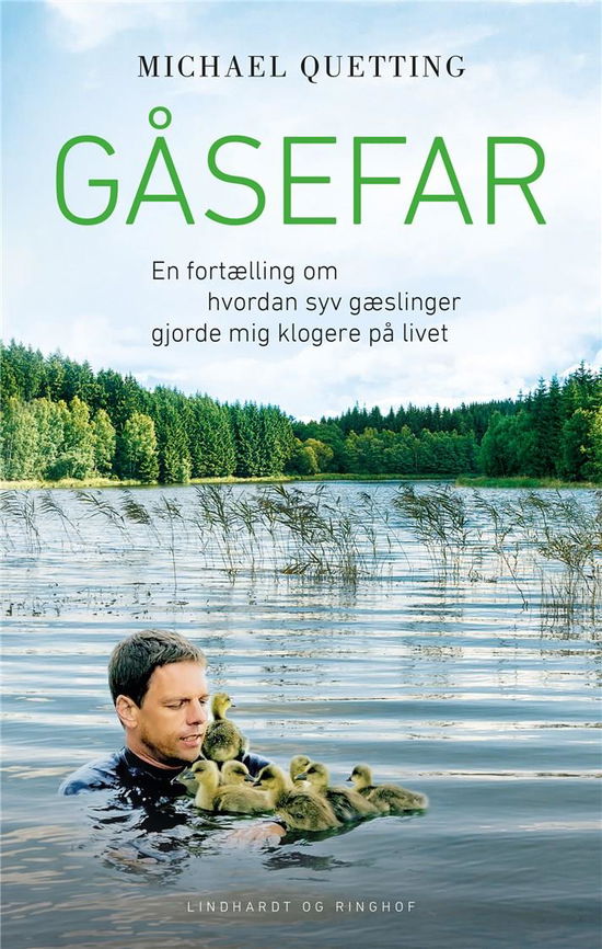 Cover for Michael Quetting · Gåsefar - En fortælling om hvordan syv gæslinger gjorde mig klogere på livet (Hardcover Book) [1st edition] (2018)