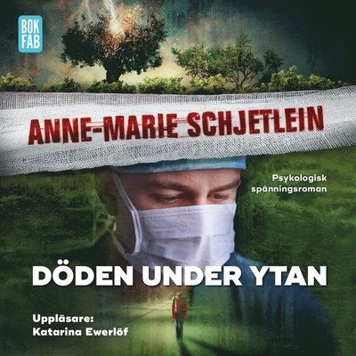 Cover for Anne-Marie Schjetlein · Andreas Nylund: Döden under ytan (Audiobook (MP3)) (2019)