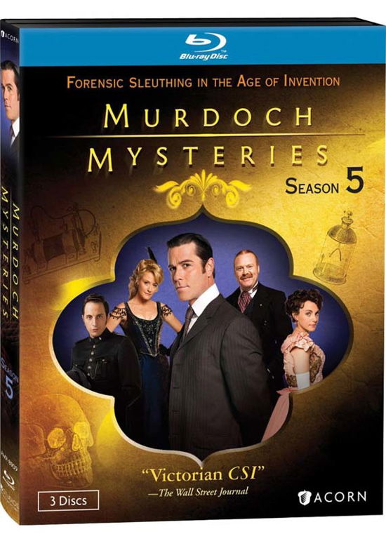 Cover for Murdoch Mysteries: Season 5 (Blu-ray) (2013)