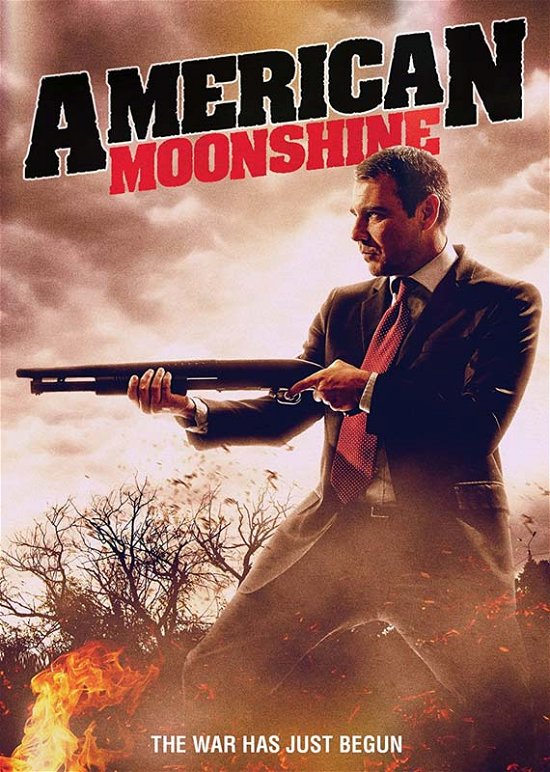 American Moonshine - DVD - Filme - ACTION/ADVENTURE - 0760137967996 - 19. Mai 2017
