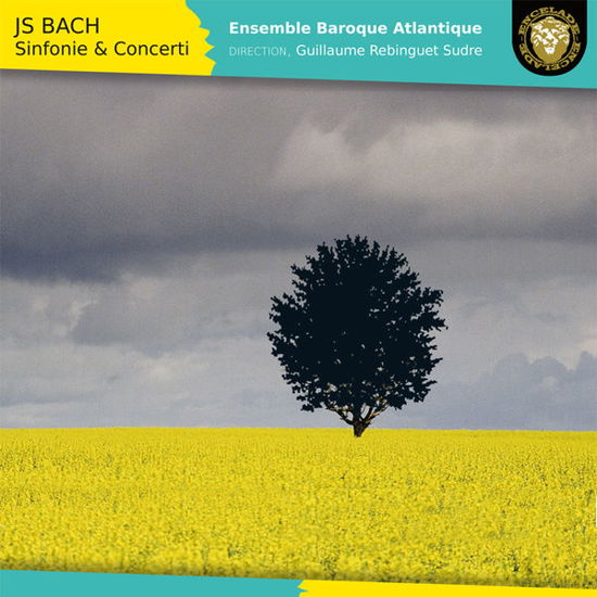 Cover for J.S. Bach · Sinfonie &amp; Concerti (CD) (2015)