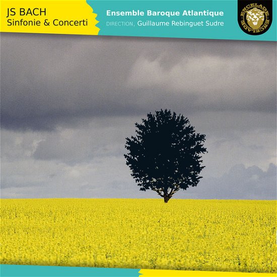 Cover for J.S. Bach · Sinfonie &amp; Concerti (CD) (2015)