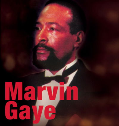 Cover for Marvin Gaye · Marvin Gaye - Final Tour 1983 (CD)