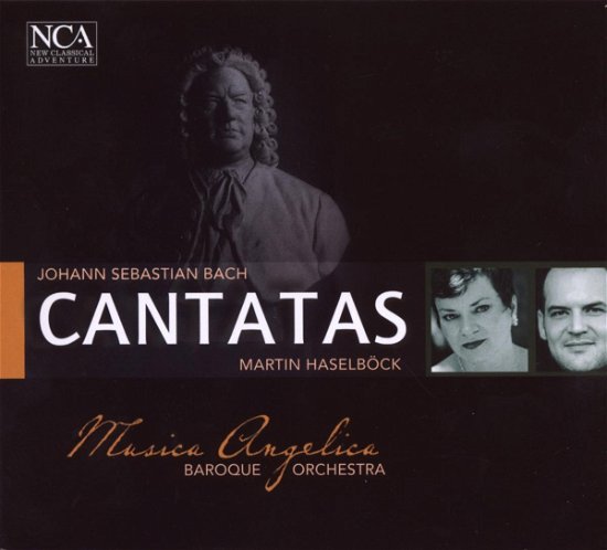 Cover for Musica Angelica / Haselbock, Martin · Bach: Cantate (CD) (2012)