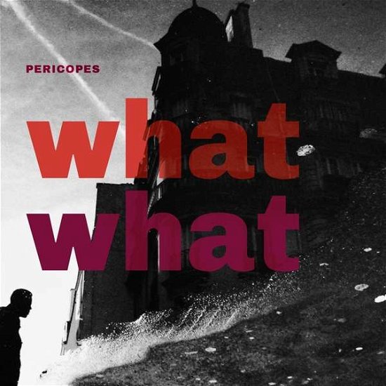 Pericopes · What What (CD) (2018)