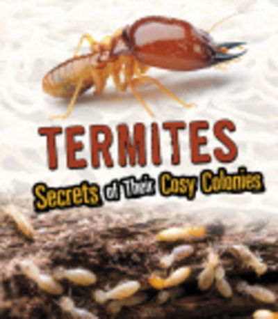 Cover for Rebecca Stefoff · Termites: Secrets of Their Cozy Colonies - Amazing Animal Colonies (Paperback Book) (2020)