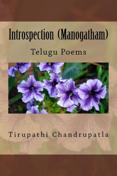 Cover for Tirupathi Chandrupatla · Introspection (Manogatham) (Paperback Book) (2015)