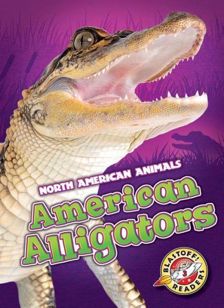 Cover for Megan Borgert-Spaniol · American Alligators (Hardcover Book) (2016)