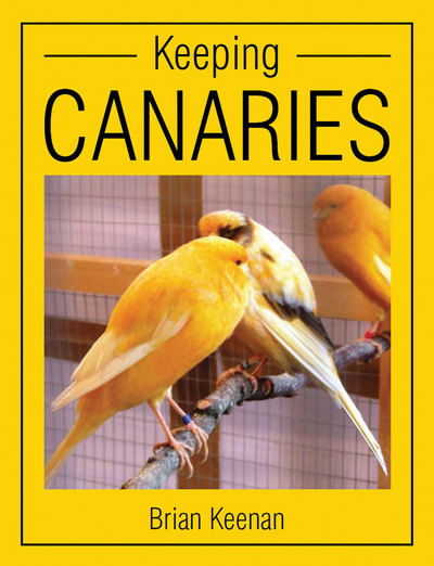 Cover for Brian Keenan · Keeping Canaries (Paperback Book) (2012)