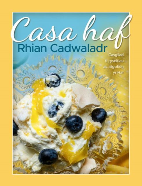 Cover for Rhian Cadwaladr · Casa Haf (Hardcover Book) (2025)