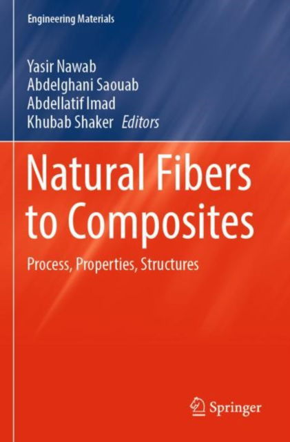 Natural Fibers to Composites: Process, Properties, Structures - Engineering Materials (Taschenbuch) [1st ed. 2023 edition] (2023)