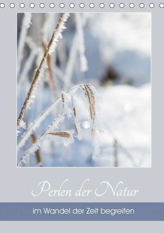 Cover for Reiter · Perlen der Natur im Wandel der Z (Book)