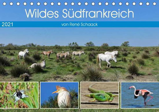 Cover for Schaack · Wildes Südfrankreich (Tischkale (Buch)