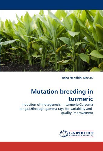 Cover for Usha Nandhini Devi.h. · Mutation Breeding in Turmeric: Induction of Mutagenesis in Turmeric (Curcuma Longa.l)through Gamma Rays for Variability and  Quality Improvement (Paperback Book) (2011)