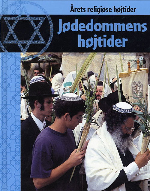 Jødedommens højtider - Anita Ganeri - Livros - Bogfabrikken Fakta - 9788777713996 - 28 de abril de 2006