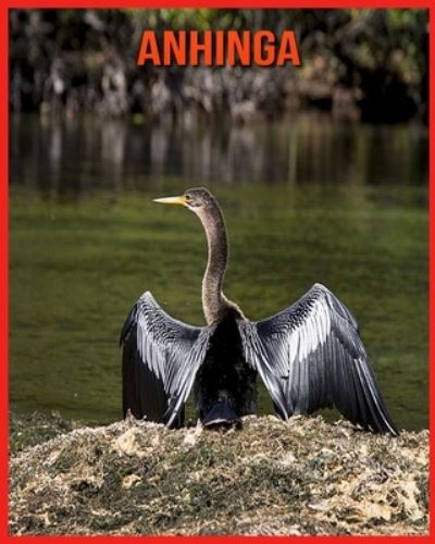 Cover for Annie Nichols · Anhinga (Paperback Book) (2021)