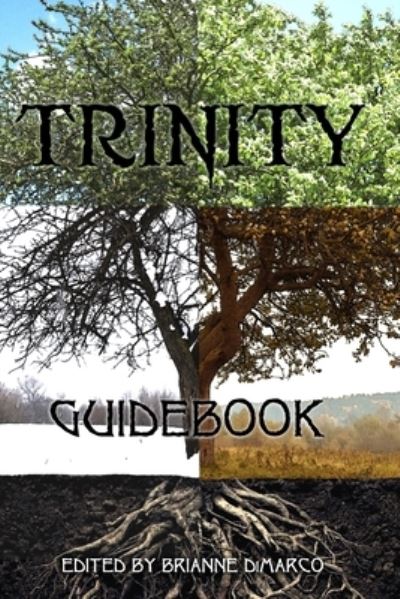 Cover for Lauren Patzer · Trinity (Taschenbuch) (2021)