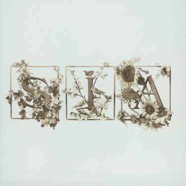 Cover for Sia · Colour The Small One (CD) (2004)