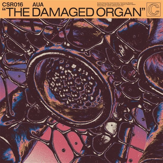 Cover for Aua · The Damaged Organ (LP) (2022)