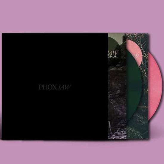 Goodbye Dinosaur // Playground for Sad Adults - Phoxjaw - Musikk - Hassle Records - 5060626460997 - 20. september 2019