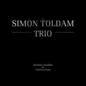 Sunshine Sunshine Or Green As Grass - Simon Toldam Trio - Muzyka - VME - 5706274002997 - 6 marca 2012