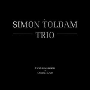 Sunshine Sunshine Or Green As Grass - Simon Toldam Trio - Muziek - VME - 5706274002997 - 6 maart 2012