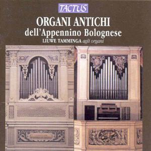 Organi Antichi Dellappennino - Alberti / Tamminga - Musiikki - TACTUS - 8007194101997 - 2000