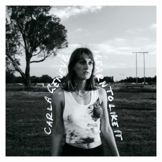 Learn to Like It - Carla Geneve - Música - DOT DASH - 9332727112997 - 27 de maio de 2022