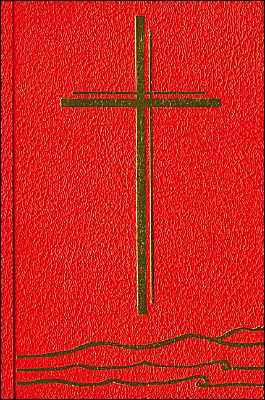 Cover for Church Angelican · New Zealand Prayer Book (Hardcover Book) (1997)