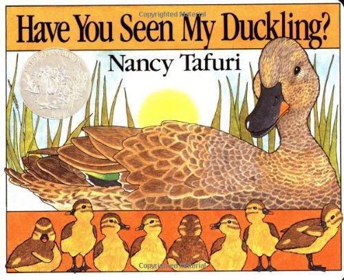 Cover for Nancy Tafuri · Have You Seen My Duckling? (Board book) (1996)