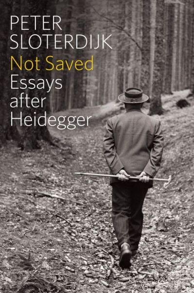Cover for Sloterdijk, Peter ( Karlsruhe School of Design) · Not Saved: Essays After Heidegger (Paperback Bog) (2016)