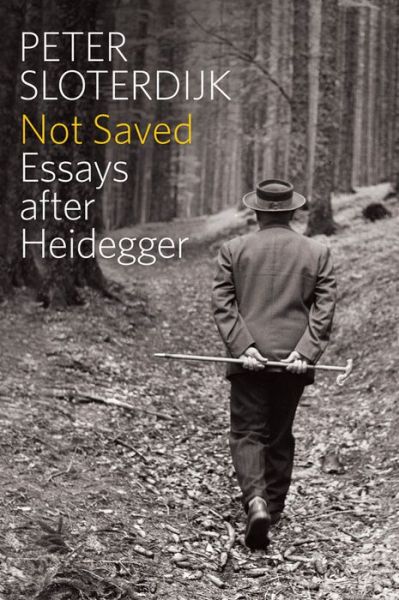 Not Saved: Essays After Heidegger - Sloterdijk, Peter ( Karlsruhe School of Design) - Books - John Wiley and Sons Ltd - 9780745696997 - November 4, 2016