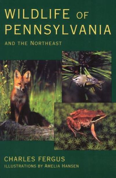 Wildlife of Pennsylvania and the Northeast - Charles Fergus - Książki - Stackpole Books - 9780811728997 - 1 sierpnia 2000