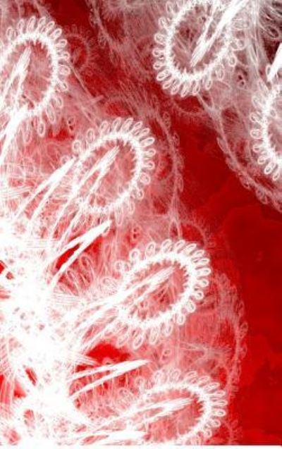 Cover for Judy Powell · LETTERS TO MYSELF JOURNAL - White Lace on Red Metal (Hardcover Book) (2017)