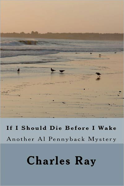 Cover for Ray Charles · If I Should Die Before I Wake (Pocketbok) (2011)