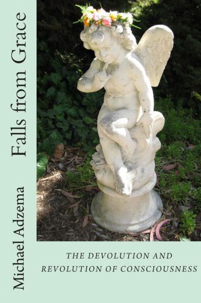 Falls from Grace: the Devolution and Revolution of Consciousness - Michael Adzema - Bøger - Createspace - 9781499297997 - May 20, 2014