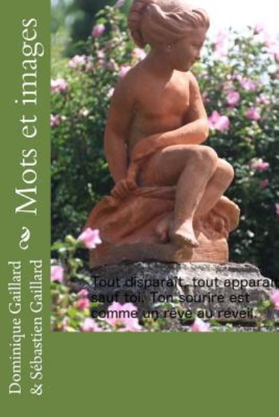 Cover for Dominique Gaillard · Mots et Images (Paperback Book) (2015)