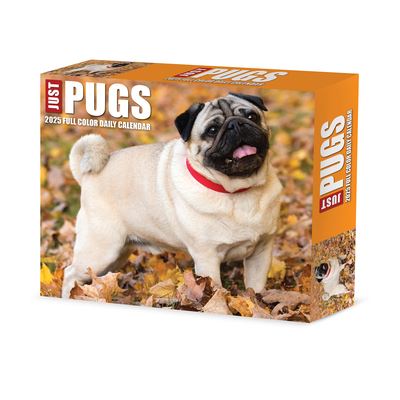 Pugs 2025 6.2 X 5.4 Box Calendar - Willow Creek Press - Merchandise - Willow Creek Press Calendars - 9781549240997 - September 10, 2024