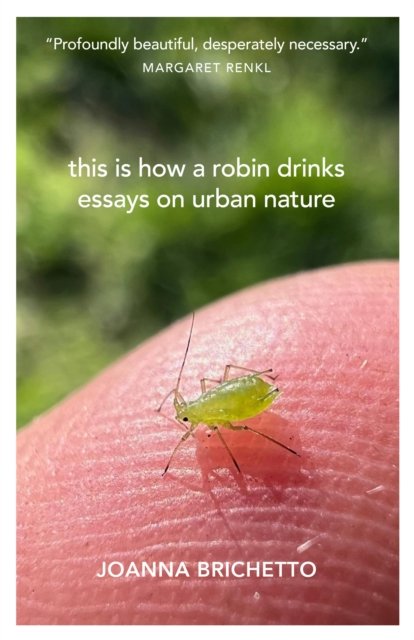 Cover for Joanna Brichetto · This Is How a Robin Drinks: Essays on Urban Nature (Paperback Bog) (2024)