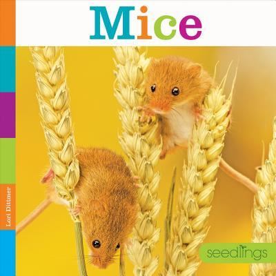 Cover for Lori Dittmer · Mice (Book) (2018)