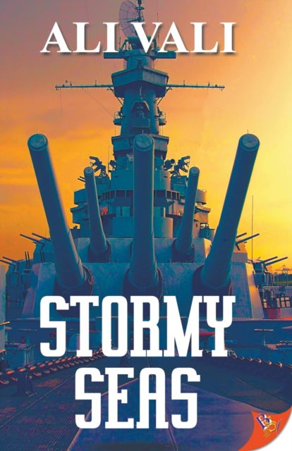 Cover for Ali Vali · Stormy Seas (Paperback Book) (2019)