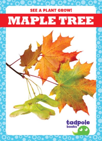 Maple Tree - Gleisner - Other - Jump! Incorporated - 9781636906997 - August 1, 2022