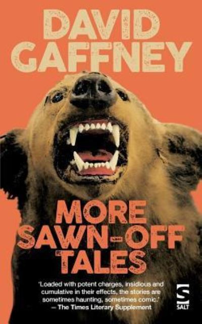 More Sawn-Off Tales - David Gaffney - Books - Salt Publishing - 9781784630997 - October 25, 2016