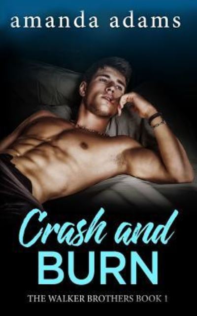 Cover for Amanda Adams · Crash and Burn (Paperback Book) (2019)