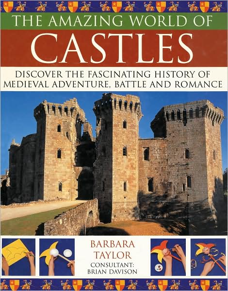 Amazing World of Castles - Barbara Taylor - Books - Anness Publishing - 9781844765997 - July 1, 2008