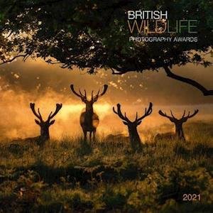 British Wildlife 2021 Calendar: British Wildlife Photography Awards 2021 Calendar (Paperback Bog) (2020)