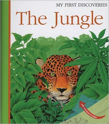 Cover for Rene Mettler · The Jungle - My First Discoveries (Spiral Book) (2010)