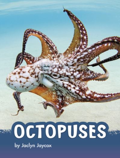 Cover for Jaclyn Jaycox · Octopuses (Hardcover Book) (2021)