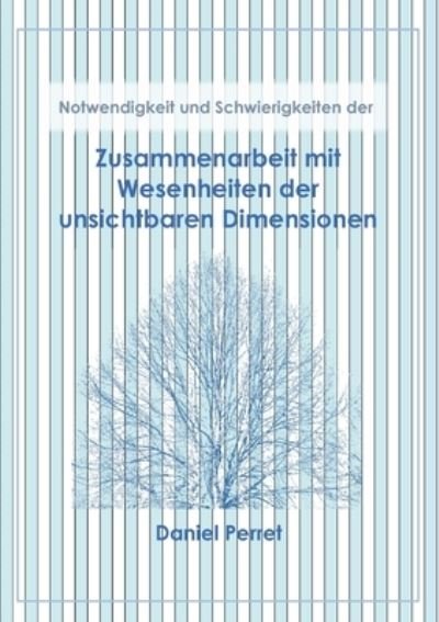 Cover for Daniel Perret · Zusammenarbeit mit Wesenheiten der unsichtbaren Dimensionen (Taschenbuch) (2022)